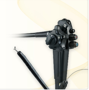 内視鏡 | ふく動物病院